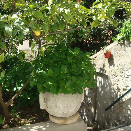 Guesthouse Manda دوبروفينك المظهر الخارجي الصورة