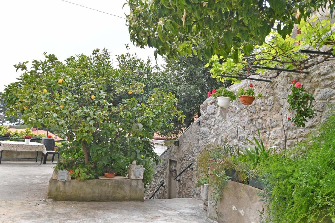 Guesthouse Manda دوبروفينك المظهر الخارجي الصورة