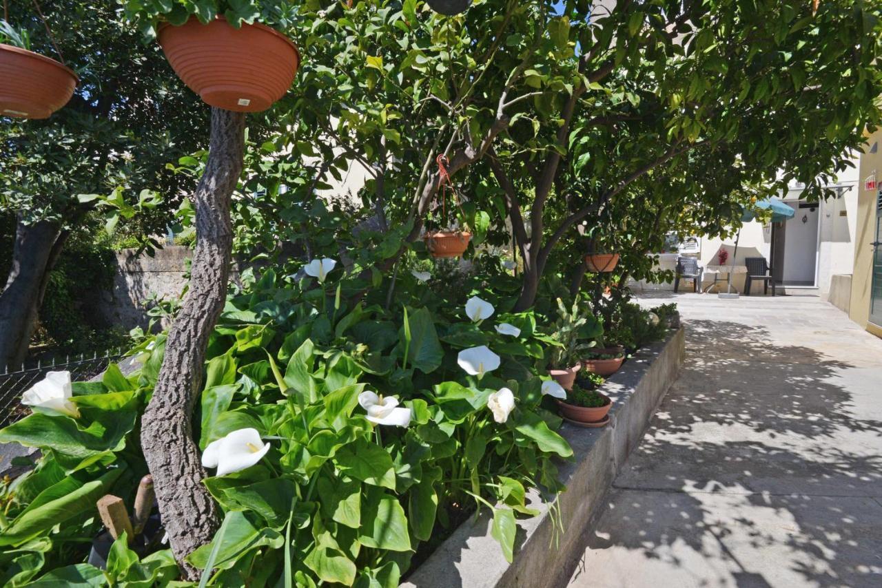 Guesthouse Manda دوبروفينك المظهر الخارجي الصورة