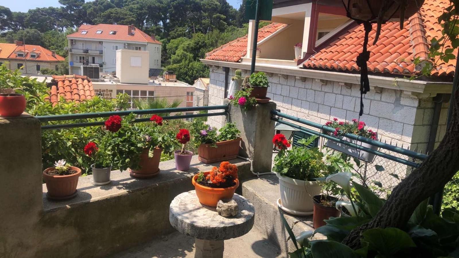 Guesthouse Manda دوبروفينك المظهر الخارجي الصورة