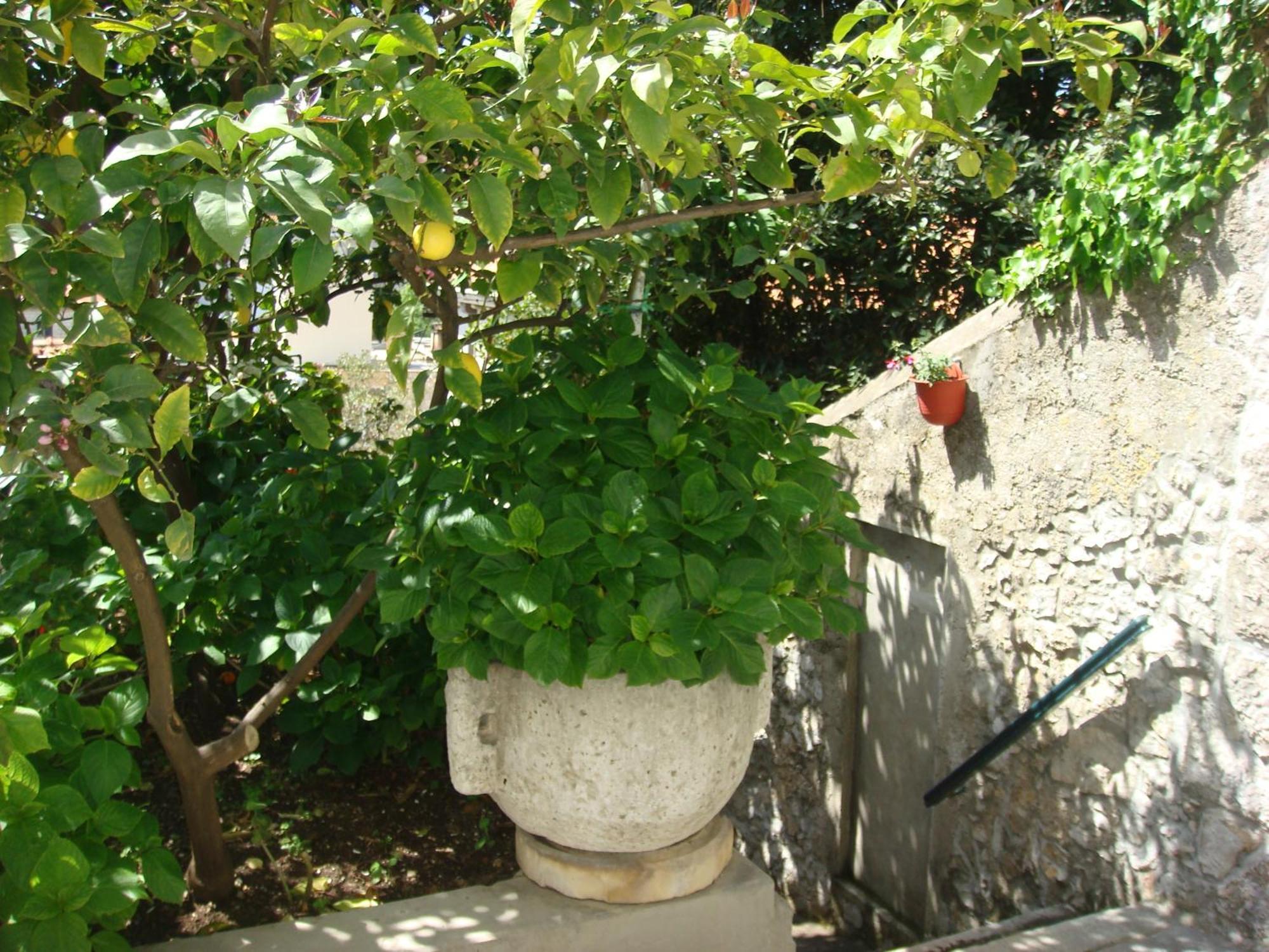 Guesthouse Manda دوبروفينك المظهر الخارجي الصورة